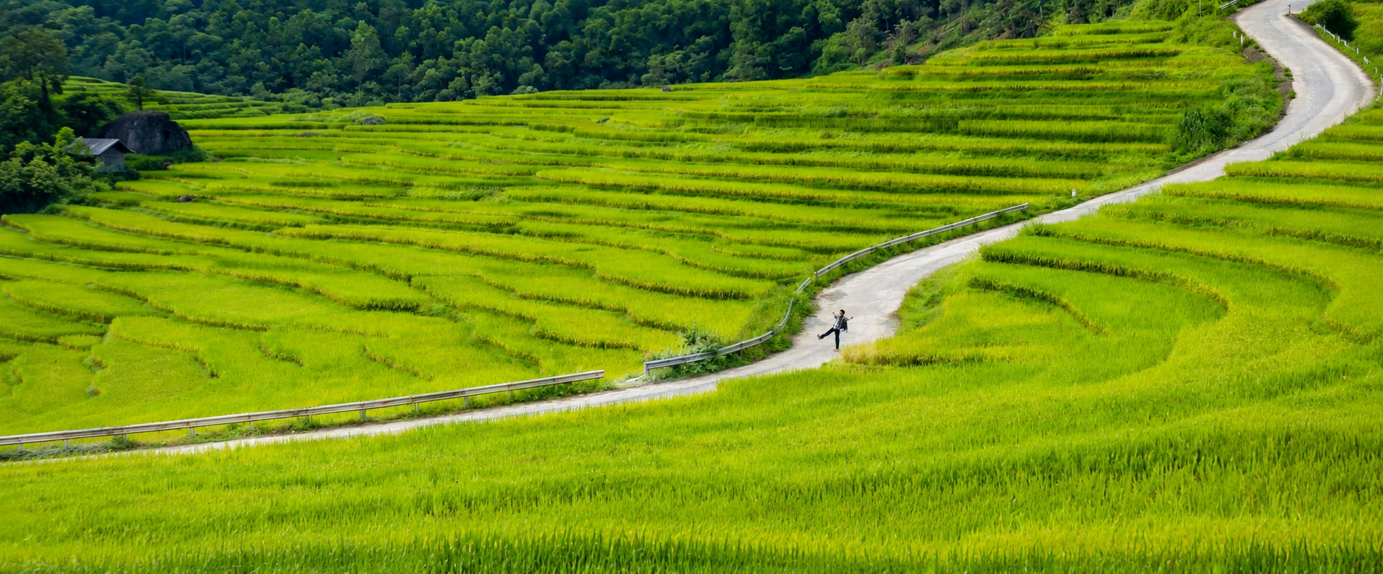 tour-mu-cang-chai-mua-lua-chin-vietmoutain-travel